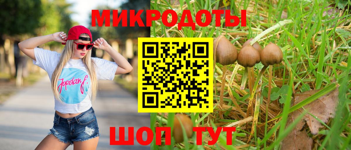 Псилоцибиновые грибы мицелий  Вход с VPN  Салехард  Псилоцибиновые грибы мухоморы 